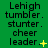 Green background with black text reading "Lehigh tumbler. stunter. cheer leader." and yellow symbols in three variations.