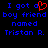 Blue pixelated text on black background reads "I got a boy friend named Tristan R." with red heart symbol replacing 'a' in first line.