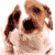 Animals icons for AIM, MSN, MySpace and Yahoo