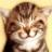 Pixelated close-up of a cat's face with brown and white fur, light eyes, and a yellow background.