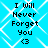 Pixelated blue background with white diamond lattice pattern displays four identical text blocks reading 'I Will Never Forget You <3' in black pixel font.