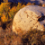 A pixelated image shows a light-colored, rounded object resembling a moon or egg against a dark background with orange and brown tones.
