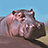 Pixelated hippopotamus head on left, green background with red text blocks reading "I wanna Hippo-potamus for Christmas" and related phrases.