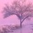 A pixelated static image of a tree with pink and purple hues against a soft pink background.