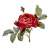 iconhell_stringbean319_beauty