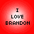 Four identical circular icons with red gradient backgrounds display black pixelated text reading "I LOVE BRANDON" in three lines.