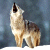 Static pixelated image of a wolf standing against a blue-gray background with its head tilted upward and mouth open as if howling.