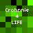 Green pixelated background with white text reading 'Crohnnie 4 LIFE' in four identical sections arranged in a