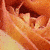 A close-up of a peach-colored rose with layered petals, showing subtle variations in hue and texture across multiple views.