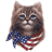 Pixelated cat face with brown fur, blue eyes, and a red-white-blue striped bandana covering its lower jaw.
