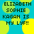 Pixelated text reads 'ELIZABETH SOPHIE KAGAN IS MY LYF!!' over a blue background with yellow and green circular shapes.