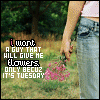 A person in light blue jeans and a pink shirt holds pink flowers in a grassy field with trees, text overlay reads "I want a guy that will give me flowers. Only becuase it's Tuesday!".