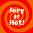 A 4-frame animated contact sheet showing identical pixelated text "Joey is Hot!" on a red-orange spiral background, arranged in a 2x2 grid with no visible animation differences between frames.