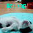 Pixelated image showing a light blue background with a white and gray animal face, and cyan text reading 'Got Nap!' above it.
