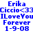 Blue pixelated text displays 'Erika' at top, followed by 'Ciccio<33', 'ILoveYouILoveYou', 'Forever', and '1-9-08' in two identical vertical on white background
