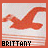 A red bird silhouette in flight over horizontal lines, with the name "BRITTANY" below it on a light background.
