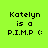 Pixelated text reads "Katelyn is a P.I.M.P :(" on four distinct background colors in a