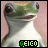 iconhell_yellowcardxx_geico