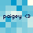 Pixelated blue background with four identical text blocks reading 'paigey <3' in dark blue font