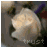 Animated contact sheet of a 48x48 pixel buddy icon showing a white cloud-like shape with subtle motion against a gray background, each frame labeled "trust" at the bottom.