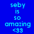 Blue background with cyan text reading "seby is so amazing <33" and pink rectangular overlays in various positions.