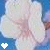 A pixelated flower with white petals and a pink center against a blue background, featuring two heart symbols at the bottom left.
