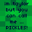 Green pixelated background with dark blue text reading 'im taylor but you can call me ... PICKLES!' repeated twice in a
