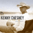 A pixelated image of a person in a cowboy hat and white shirt with text below, set against a desert landscape background.