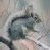 A 50x50 pixel animated buddy icon featuring a gray ground squirrel on the left and green text "Original Icons .com" on the right, displayed as a contact sheet with two frames showing slight motion differences.