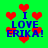 Green background with red heart shapes and blue text reading "I LOVE ERIKA!" in pixelated font.