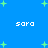 Blue background with green plus signs and four instances of the text 'sara' in white pixelated font.