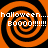 Four identical orange and black spiral patterns with white text reading "halloween... BOOO!!!!!!" arranged in a on a black background