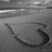 Monochrome icon depicts a curved dark shape with lighter gradient on left side against gray background.