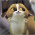 Pixelated image of a dog with light brown and white fur, dark eyes, and a small nose, standing against a blurred background.