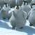 A group of fluffy gray penguin chicks walk in a line across a snowy landscape, with one chick in the foreground turning its head slightly left.