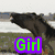 A static image divided into four quadrants showing a whale, horse, strawberry, and text overlays.