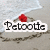 A beach scene with a red flower on sand, featuring changing text and symbols over time.