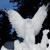 A pixelated white animal with black markings stands against a blue and black background, its body oriented forward with head turned left, ears perked, and tail visible.