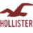 Maroon bird silhouette in flight above maroon text reading HOLLISTER on white background.