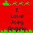 Red background with green pixelated border and text reading "I Love Joey Angelo" in black font, featuring two variations of a top animation