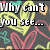 A static image with a dark background covered in colorful heart shapes and text reading "Why can't you see... that I love you. xo Carrie".