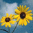 Two yellow sunflowers with brown centers against a blue sky background, rendered in pixelated style.