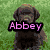six static images with text overlays: a black dog on grass, colorful stars forming a circle, a white dog on grass, pink flowers, a brown and white dog lying down, and a rainbow with stars