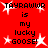 Red background with repeated black text 'TAYRAWWR is my lucky goose!' and white starbursts, no visible animation changes.
