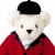 A pixelated teddy bear in a red jacket and black beret stands against white background, next to green text reading Original Icons .com.