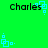 Green background with repeated black text 'Charles' and light blue square-based pixel art elements arranged in a pattern