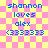 Pixelated text on a pink-yellow checkered background with blue text reading "shannon loves alex (333333)" in two identical vertical