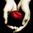 Two hands cradle a red heart against black background; text reads "EDWARD CULLEN SEXIER THAN YOU" with smaller text below.