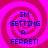 Four identical display a pink and red spiral background with blue text reading "IM GETTING A FERRET!" in pixelated font