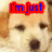 A dog's face with text overlays in red and blue, showing a sequence of changing phrases.